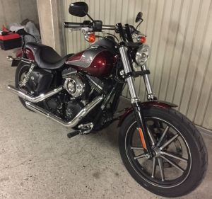 Sacoche Myleatherbikes Harley Dyna Street Bob_79